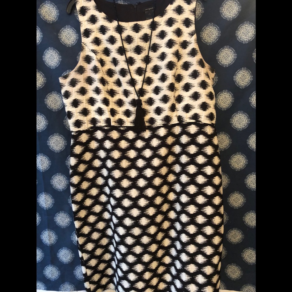 Ann Taylor Polka Dot Dress- Opposites Attract